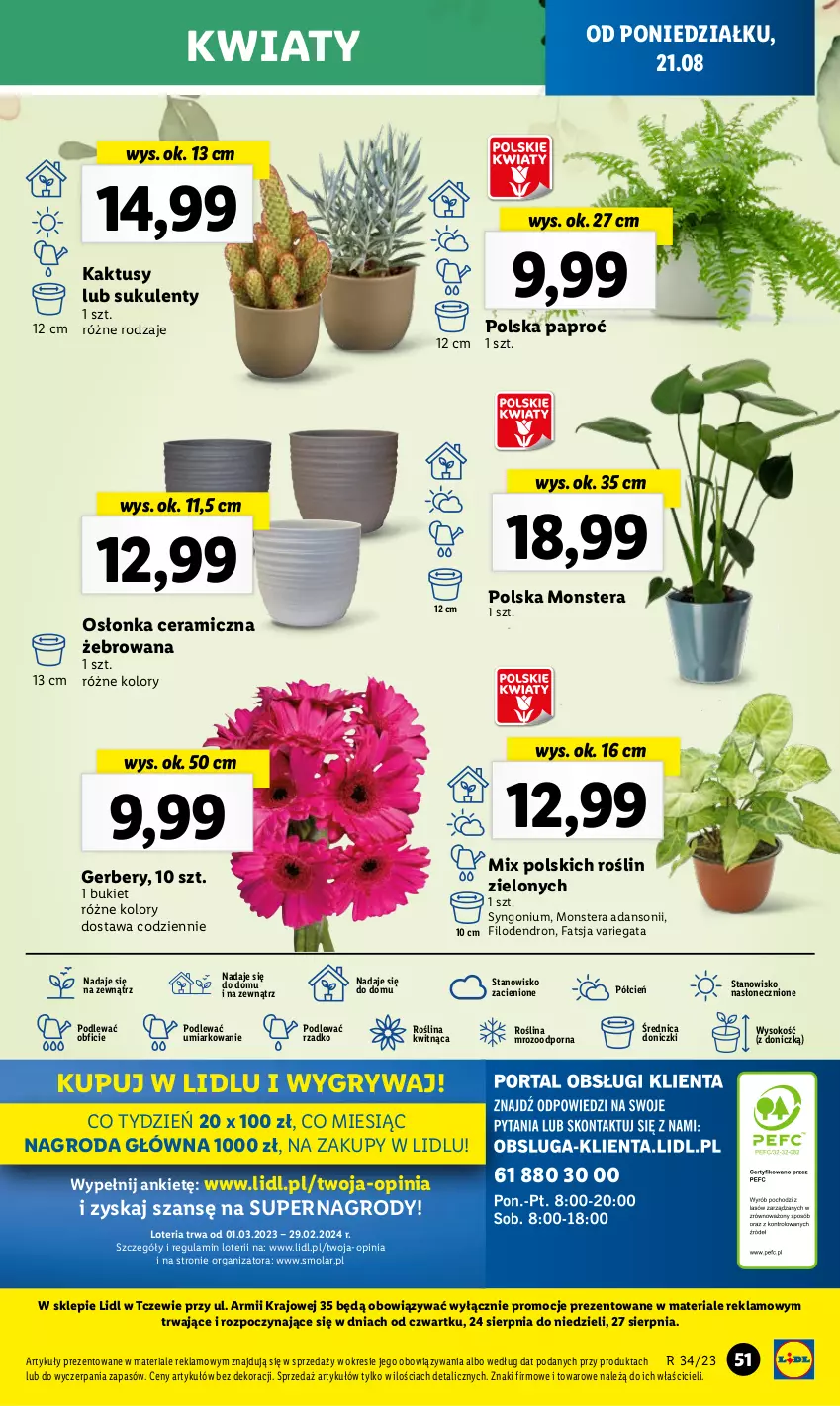 Gazetka promocyjna Lidl - GAZETKA - ważna 21.08 do 27.08.2023 - strona 57 - produkty: Bukiet, Cień, Dron, Fa, Gerber, Gry, Kaktus, Mola, O nas, Osłonka, Por, Sok, Sukulent, Tera