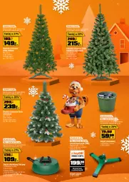 Gazetka promocyjna Obi - Gazetka OBI - Gazetka - ważna od 31.12 do 31.12.2025 - strona 3 - produkty: Choinka, Inka, Cyprysik, Poinsecja, Stojak, Kask, Gwiazda, Osłonka