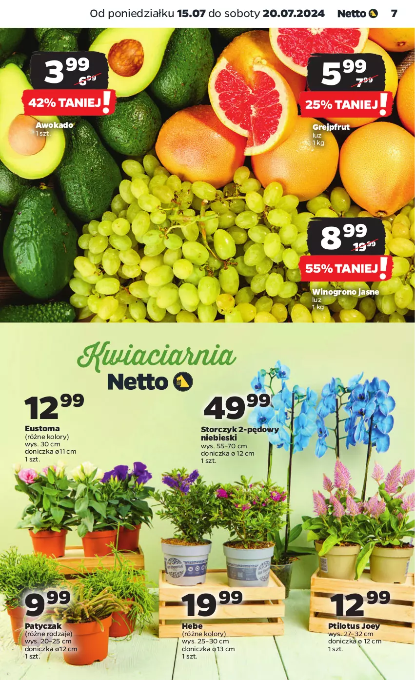 Gazetka promocyjna Netto - Artykuły spożywcze - ważna 15.07 do 20.07.2024 - strona 7 - produkty: Grejpfrut, Storczyk, Wino