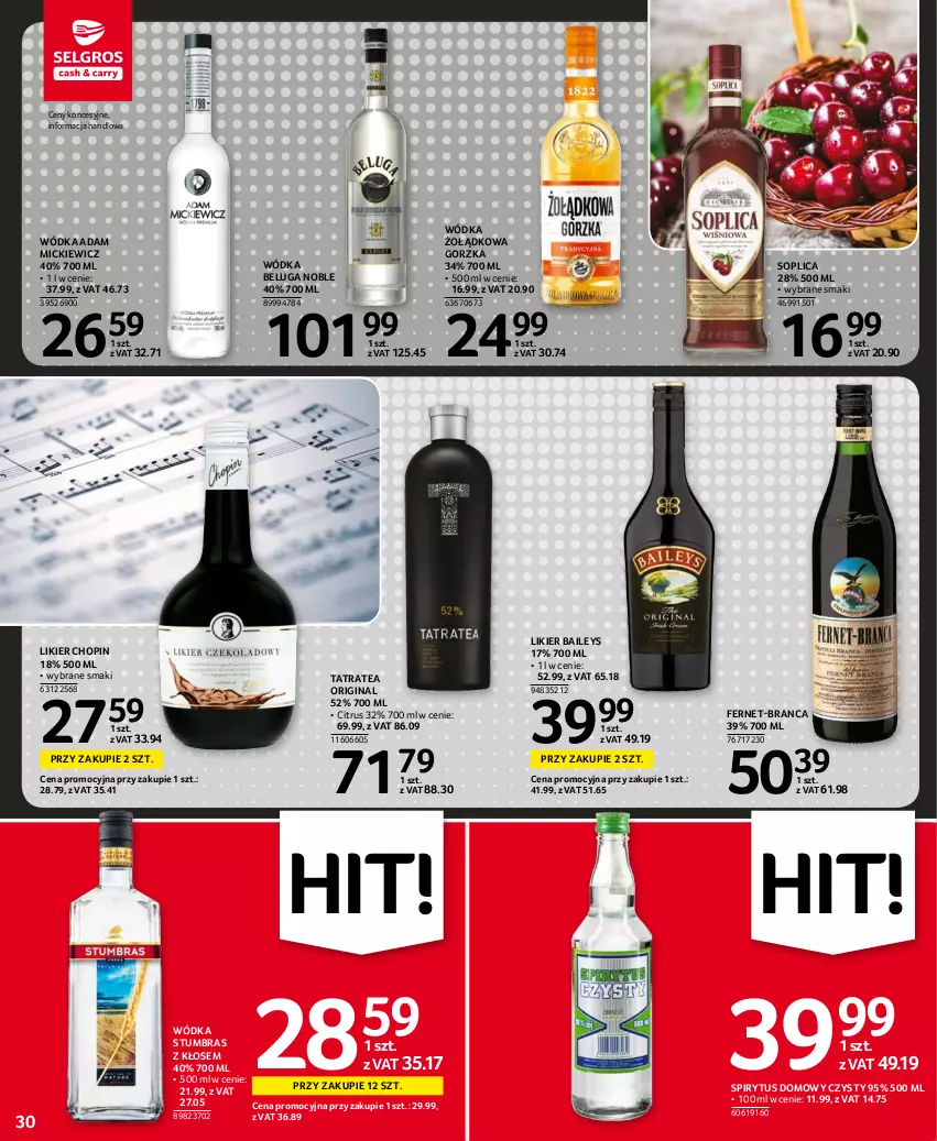 Gazetka promocyjna Selgros - Oferta spożywcza - ważna 14.10 do 27.10.2021 - strona 30 - produkty: Gin, Likier, Soplica, Tatra, Wódka