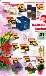 Gazetka promocyjna Netto - Oferta Tygodnia - Gazetka - ważna od 23.01 do 23.01.2021 - strona 12 - produkty: Campanula, Kawa rozpuszczalna, Koc, Gra, Kawa ziarnista, Tulipan, Róża, Praliny, Kawa, Kosz, Raffaello, Kalanchoe, Primula, Prima, Bukiet, Lavazza, Cappuccino, Davidoff, Fa