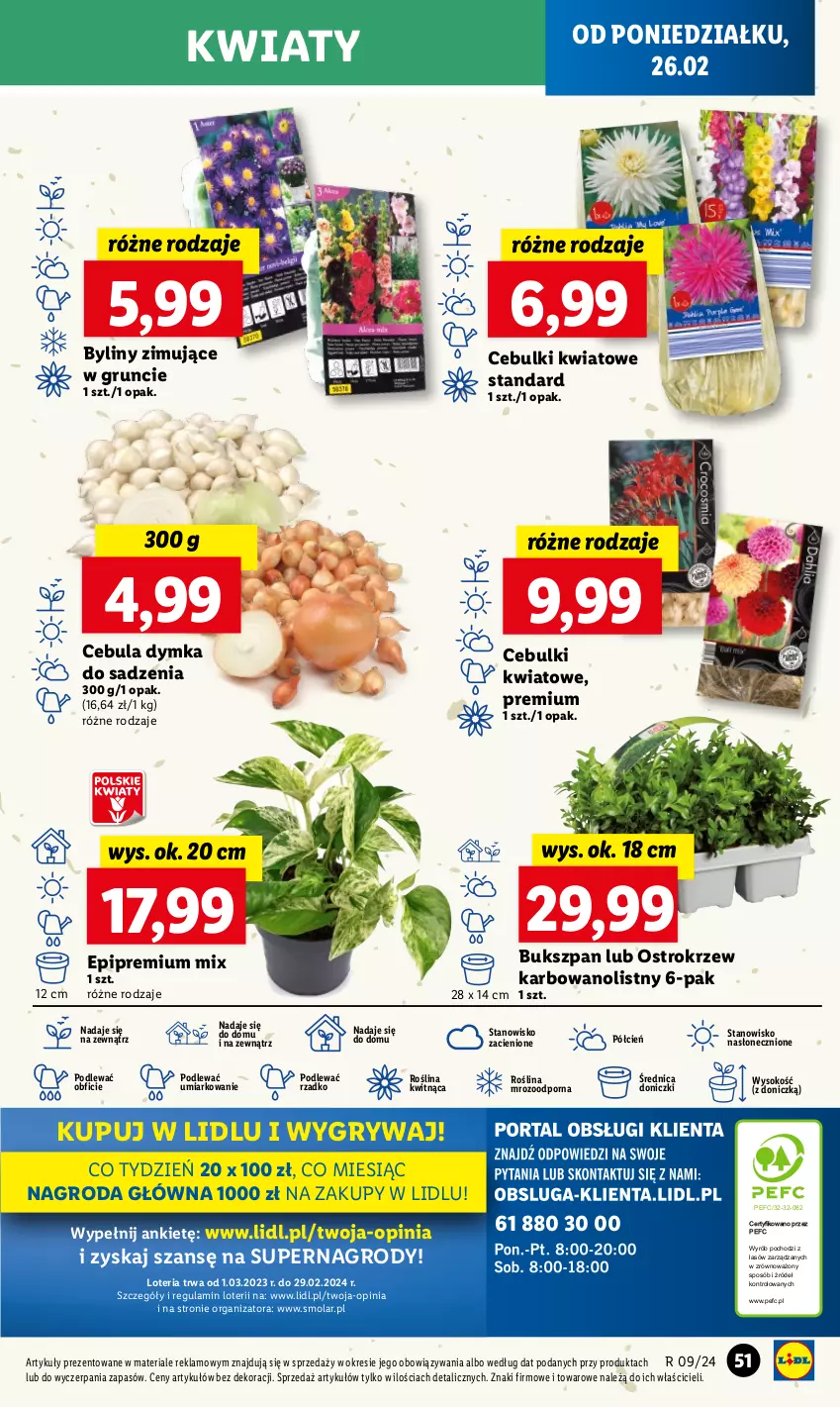 Gazetka promocyjna Lidl - GAZETKA - ważna 26.02 do 28.02.2024 - strona 57 - produkty: Cebula, Cień, Gry, Mola, O nas, Por, Sok