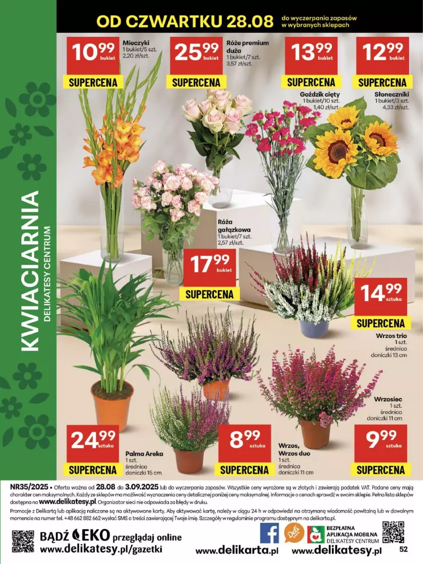 Gazetka promocyjna Delikatesy Centrum - Franczyza DC35 Czwartek - ważna 28.08 do 03.09.2025 - strona 52 - produkty: Bukiet, Gra, Miecz, Palma, Róża