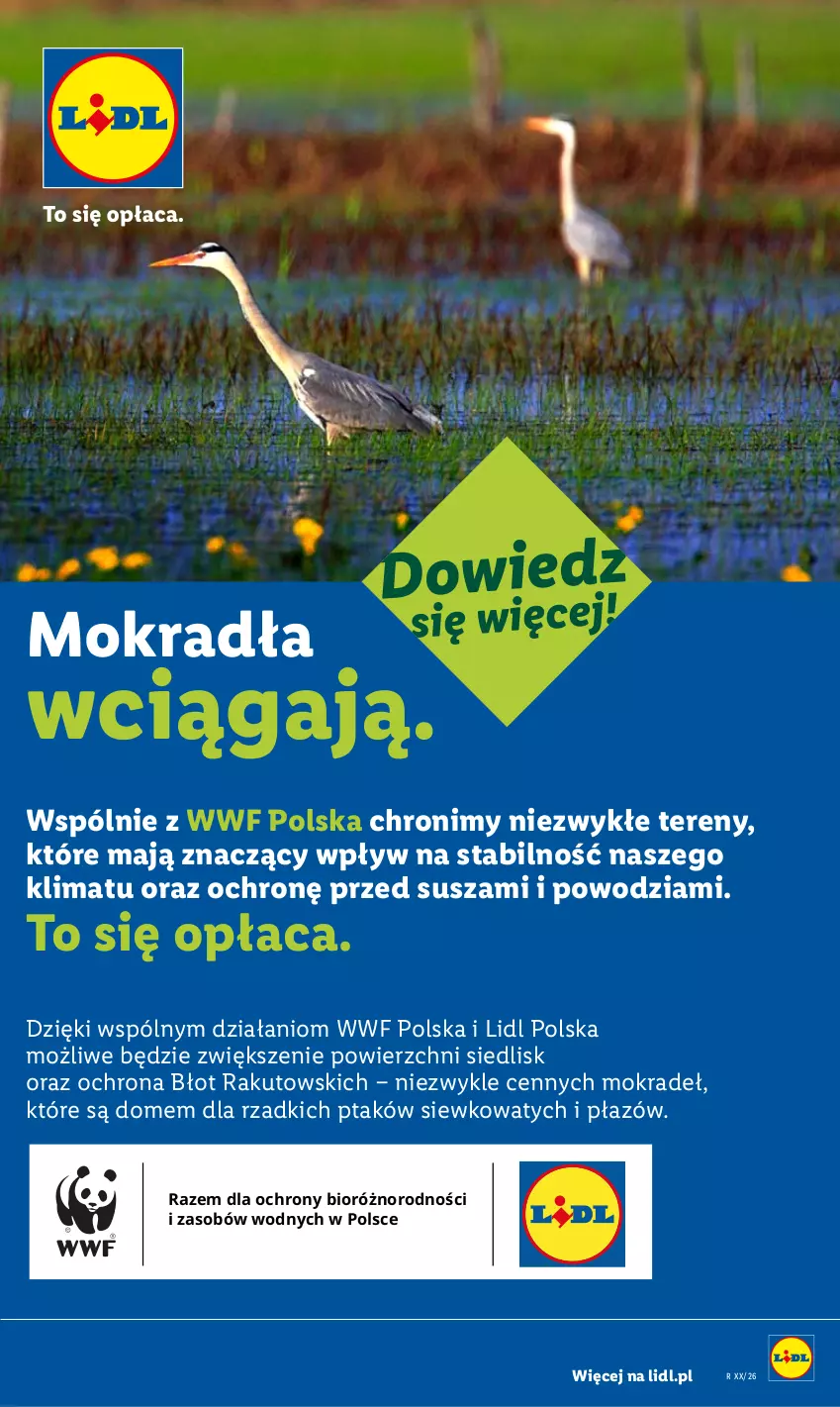 Gazetka promocyjna Lidl - Gazetka ważna od 6.07 do 8.07 - ważna 06.07 do 08.07.2026 - strona 89
