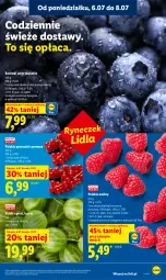 Gazetka promocyjna Lidl - Gazetka ważna od 6.07 do 8.07 - Gazetka - ważna od 08.07 do 08.07.2026 - strona 33 - produkty: Por, Porzeczki czerwone, Maliny, Gres