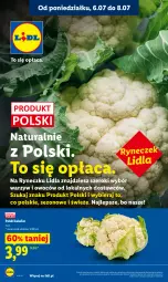 Gazetka promocyjna Lidl - Gazetka ważna od 6.07 do 8.07 - Gazetka - ważna od 08.07 do 08.07.2026 - strona 34 - produkty: Kalafior, O nas