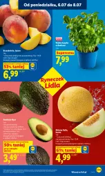 Gazetka promocyjna Lidl - Gazetka ważna od 6.07 do 8.07 - Gazetka - ważna od 08.07 do 08.07.2026 - strona 37 - produkty: Brzoskwinie, Bazyl, Bazylia, Melon
