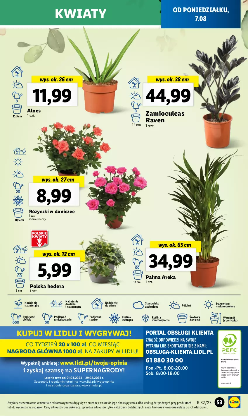 Gazetka promocyjna Lidl - GAZETKA - ważna 07.08 do 12.08.2023 - strona 82 - produkty: Cień, Gry, Mola, O nas, Palma, Por, Sok