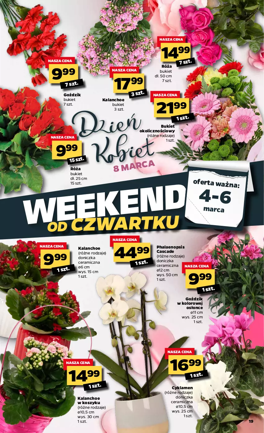 Gazetka promocyjna Netto - Oferta tygodnia - ważna 01.03 do 06.03.2021 - strona 19 - produkty: Bukiet, Cyklamen, Kalanchoe, Kosz, Róża