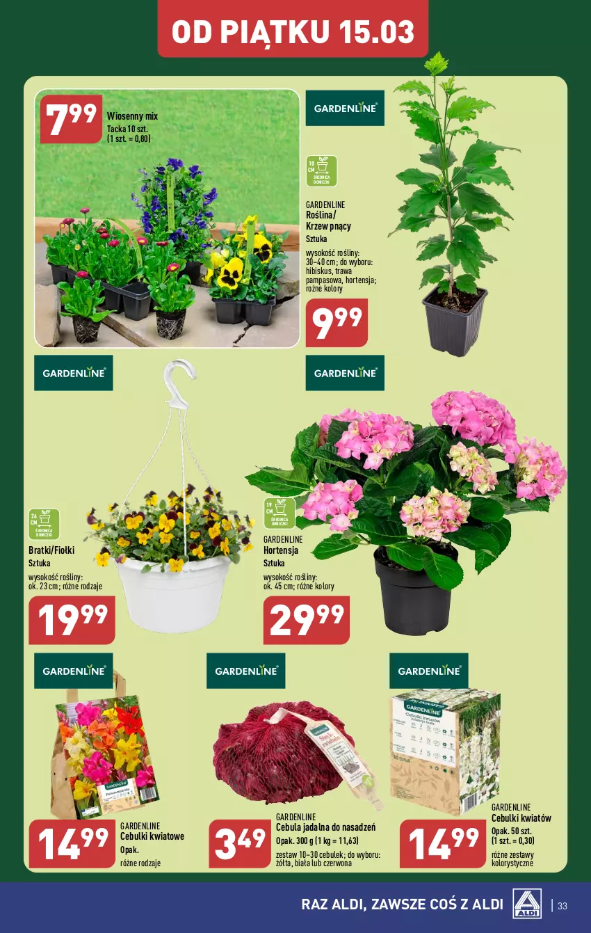 Gazetka promocyjna Aldi - Pełna oferta - ważna 11.03 do 16.03.2024 - strona 33 - produkty: Cebula, Hibiskus, O nas, Sok