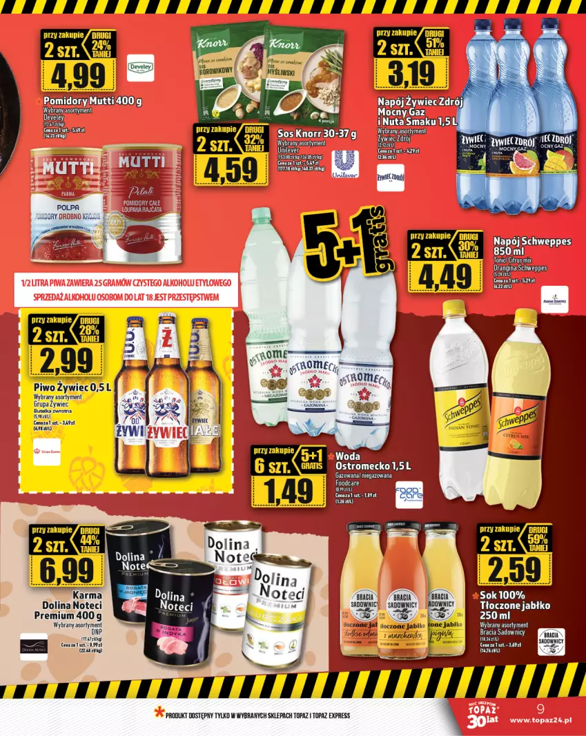 Gazetka promocyjna Topaz - Gazetka - ważna 06.07 do 12.07.2023 - strona 9 - produkty: Gin, Gra, Knorr, Lody, Napój, Piwa, Pomidory, Schweppes, Sok, Sos, Top, Woda