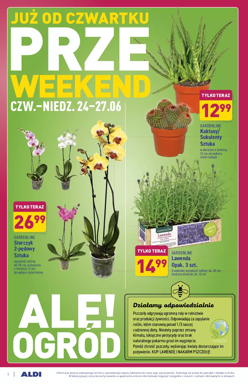 Gazetka promocyjna Aldi - PROMOCJE NA WEEKEND - ważna 24.06 do 27.06.2021 - strona 5 - produkty: Gin, Gry, Kaktus, Sok, Storczyk, Sukulent, Tera