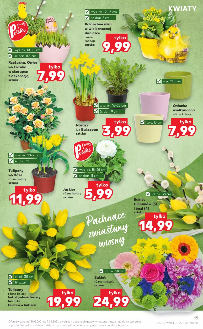 Gazetka promocyjna Kaufland - OFERTA TYGODNIA - ważna 31.03 do 07.04.2021 - strona 15 - produkty: Bukiet, Kalanchoe, Narcyz, Osłonka, Rzeżucha, Tulipan