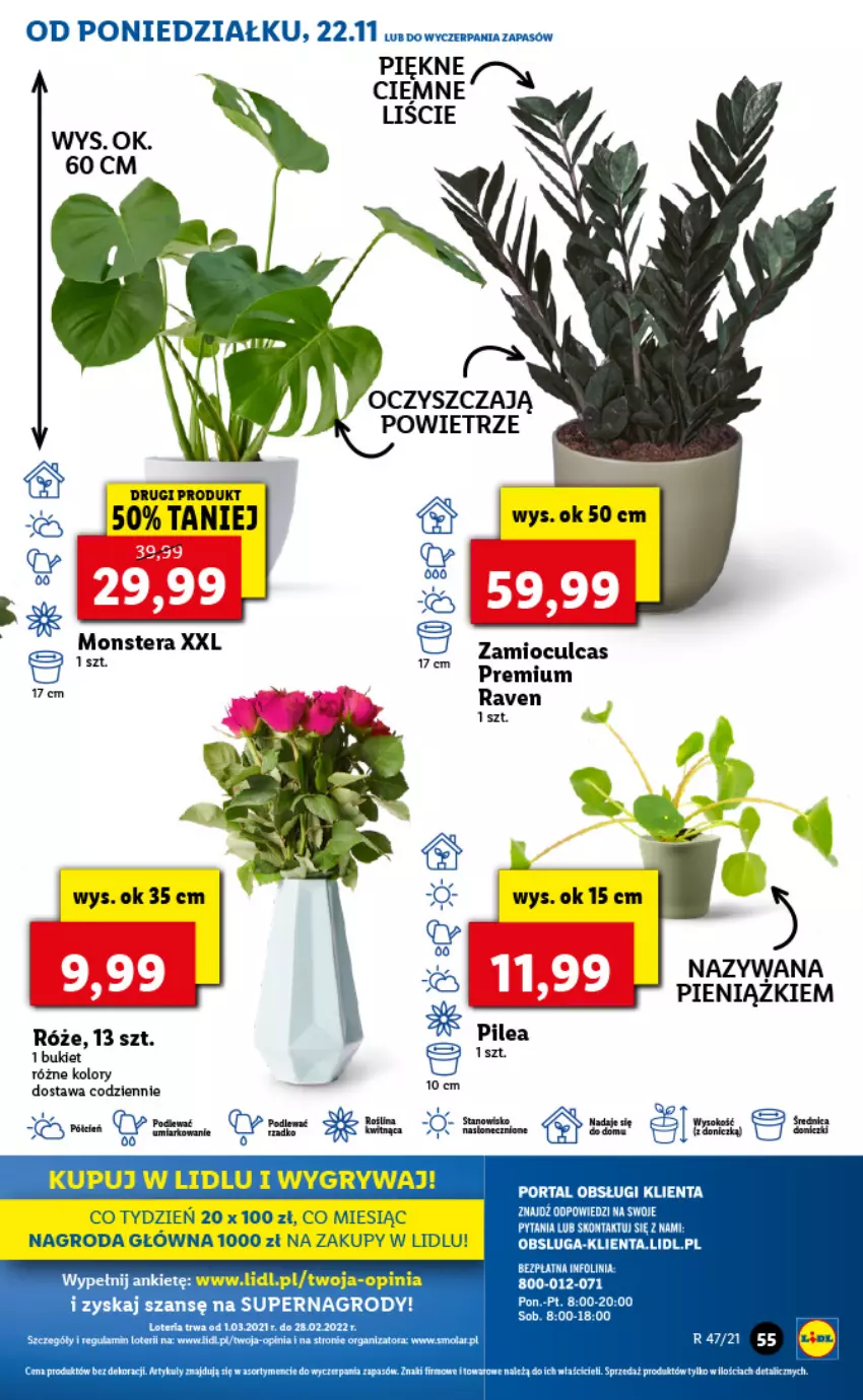 Gazetka promocyjna Lidl - GAZETKA - ważna 22.11 do 24.11.2021 - strona 55 - produkty: Cień, Fa, Gry, Mola