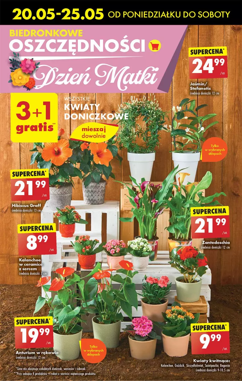 Gazetka promocyjna Biedronka - Od poniedzialku - ważna 20.05 do 25.05.2024 - strona 55 - produkty: Acer, Chia, Dron, Gra, Kalanchoe, Ser