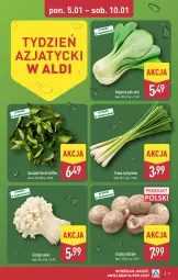 Gazetka promocyjna Aldi - Tydzień Azjatycki - Gazetka - ważna od 10.01 do 10.01.2026 - strona 5 - produkty: Grzyby