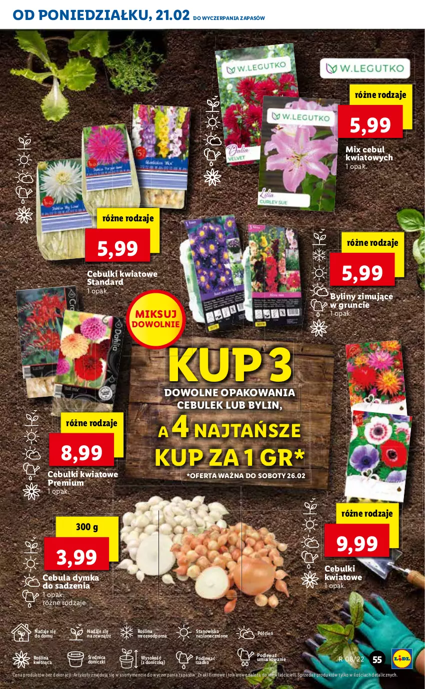 Gazetka promocyjna Lidl - GAZETKA - ważna 21.02 do 23.02.2022 - strona 55 - produkty: Cebula, Cień, O nas, Por, Sok