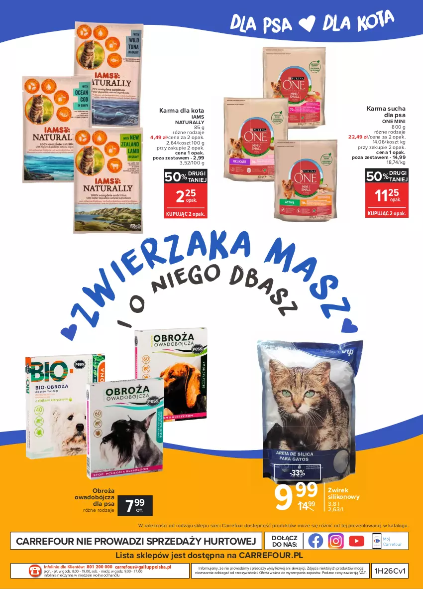 Gazetka promocyjna Carrefour - Gazetka Zoostaliśmy przyjaciółmi - ważna 28.06 do 10.07.2021 - strona 12 - produkty: Iams, Kosz, O nas