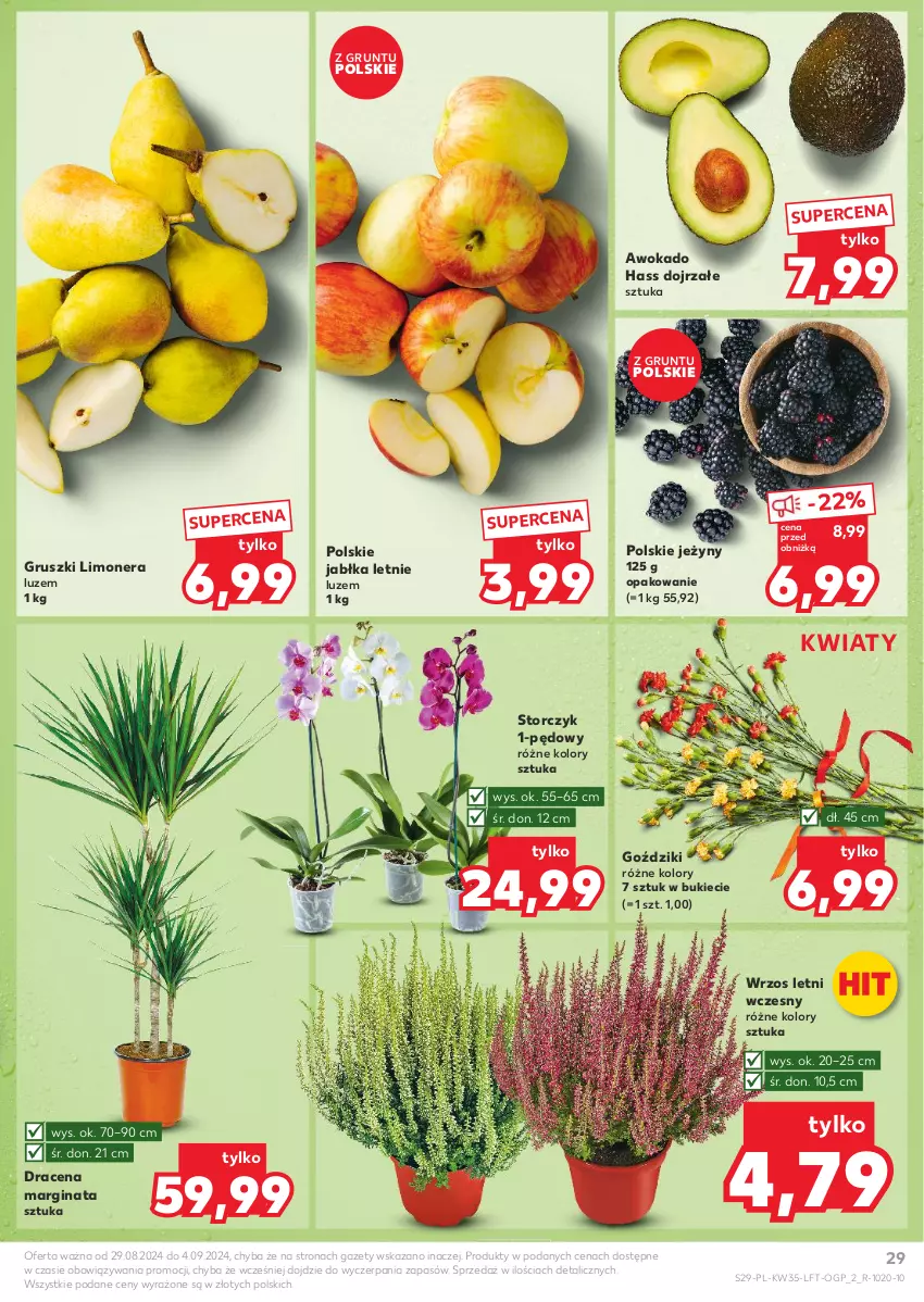 Gazetka promocyjna Kaufland - Gazetka tygodnia - ważna 29.08 do 04.09.2024 - strona 29 - produkty: Gin, Grunt, Gruszki, Jabłka, Jeżyny, Storczyk