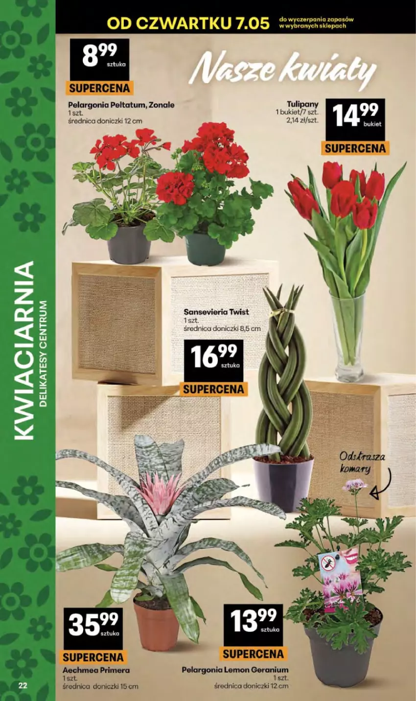 Gazetka promocyjna Delikatesy Centrum - Franczyza DC19 Czwartek - ważna 07.05 do 13.05.2026 - strona 22 - produkty: Bukiet, Tulipan