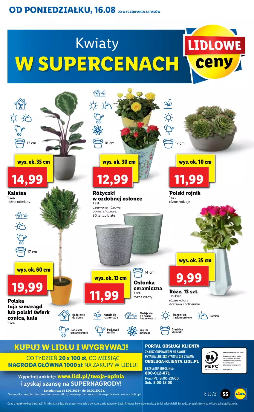 Gazetka promocyjna Lidl - GAZETKA - ważna 16.08 do 18.08.2021 - strona 55 - produkty: Bukiet, Cień, Gry, Mola, O nas, Osłonka