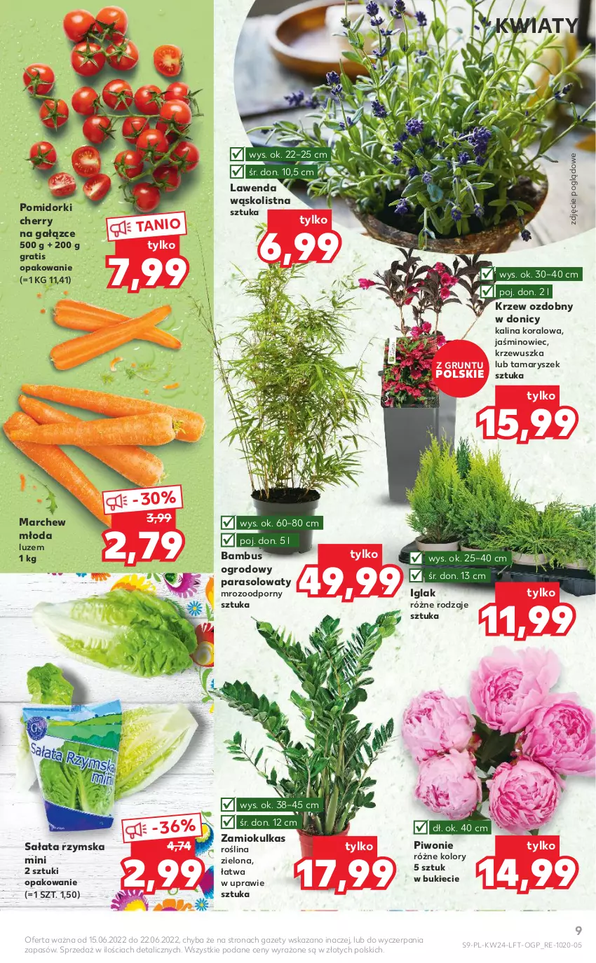 Gazetka promocyjna Kaufland - OFERTA TYGODNIA - ważna 15.06 do 22.06.2022 - strona 9 - produkty: Gra, Grunt, Parasol, Piwo, Pomidorki, Por, Sałat