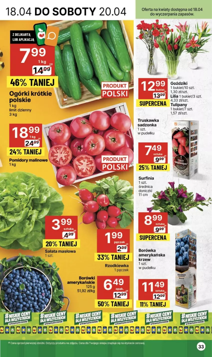 Gazetka promocyjna Delikatesy Centrum - NOWA GAZETKA Delikatesy Centrum od 18 kwietnia! 18-24.04.2024 - ważna 18.04 do 24.04.2024 - strona 33 - produkty: Borówka, Bukiet, Surf, Tulipan