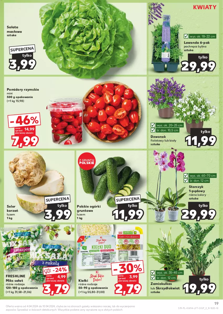 Gazetka promocyjna Kaufland - Gazetka tygodnia - ważna 04.04 do 10.04.2024 - strona 19 - produkty: Dzwonek, Grunt, Kiełki, Masło, Pomidory, Sałat, Sałata masłowa, Seler korzeń, Storczyk