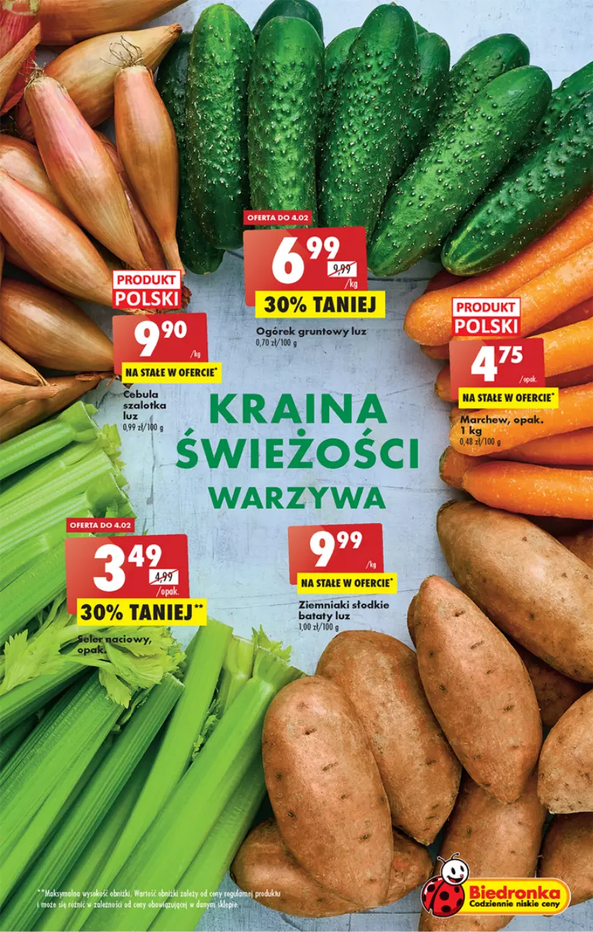 Gazetka promocyjna Biedronka - Gazetka - Biedronka.pl - ważna 02.02 do 08.02.2023 - strona 17 - produkty: Grunt, Ogórek, Sok, Warzywa, Ziemniaki