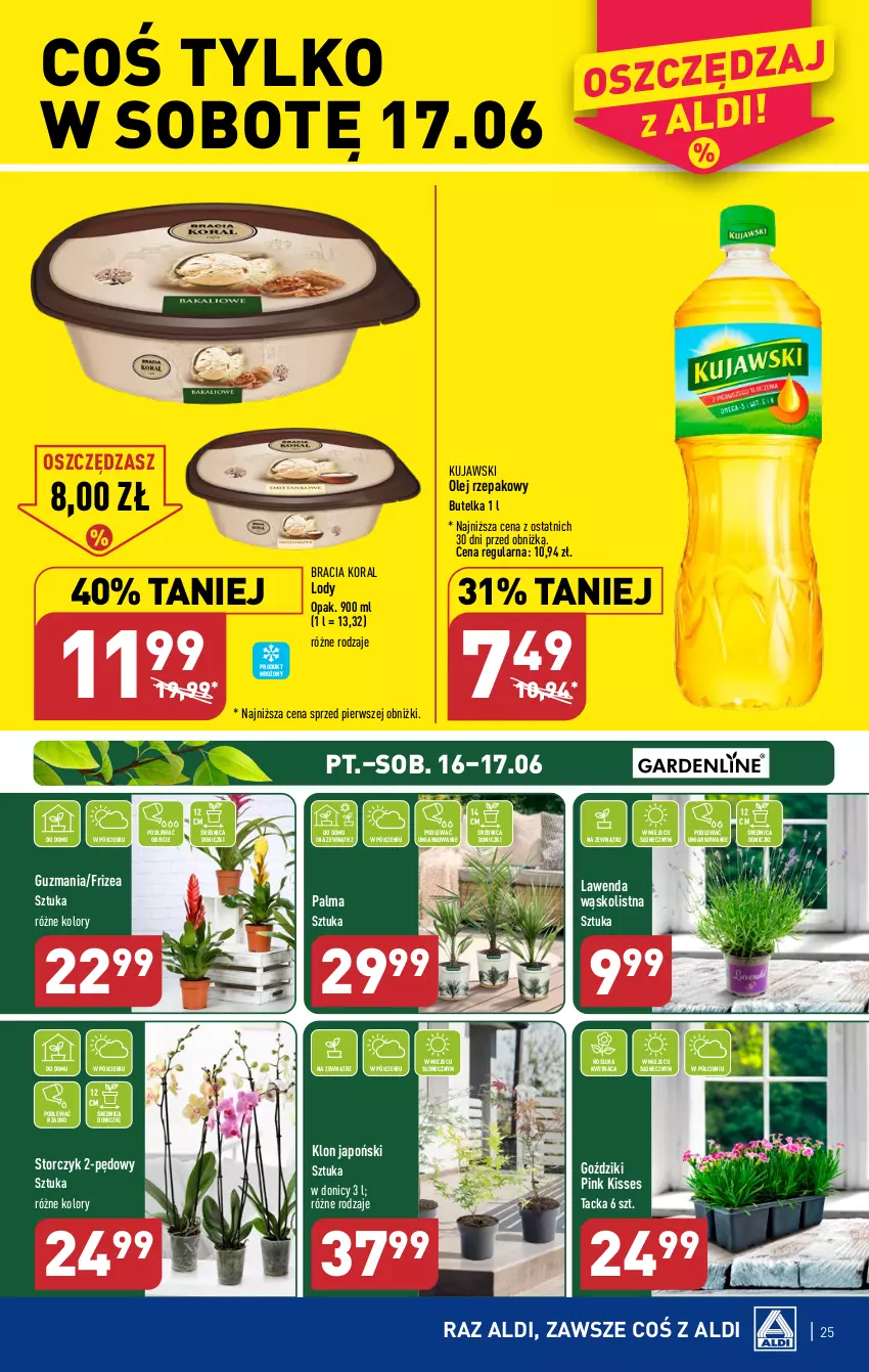 Gazetka promocyjna Aldi - Pełen katalog od 12.06 - ważna 12.06 do 17.06.2023 - strona 25 - produkty: Kujawski, Lody, Olej, Olej rzepakowy, Palma, Storczyk