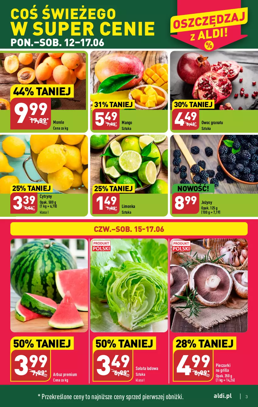 Gazetka promocyjna Aldi - Pełen katalog od 12.06 - ważna 12.06 do 17.06.2023 - strona 3 - produkty: Arbuz, Cytryny, Gra, Granat, Grill, Jeżyny, Limonka, Mango, Piec, Sałat, Sałata lodowa