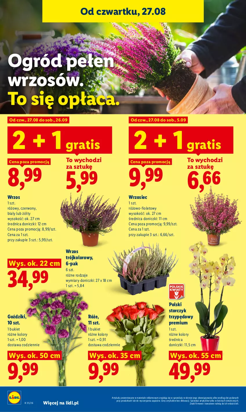 Gazetka promocyjna Lidl - Gazetka ważna od 27.08 do 30.08 - ważna 27.08 do 30.08.2026 - strona 86 - produkty: Bukiet, Gra, Ogród, Sok, Storczyk