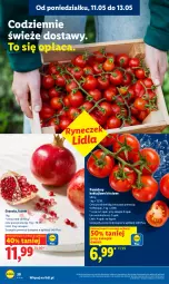 Gazetka promocyjna Lidl - Gazetka ważna od 11.05 do 13.05 - Gazetka - ważna od 13.05 do 13.05.2026 - strona 30 - produkty: Gra, Granat, Pomidory
