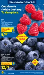 Gazetka promocyjna Lidl - Gazetka ważna od 11.05 do 13.05 - Gazetka - ważna od 13.05 do 13.05.2026 - strona 32 - produkty: Maliny
