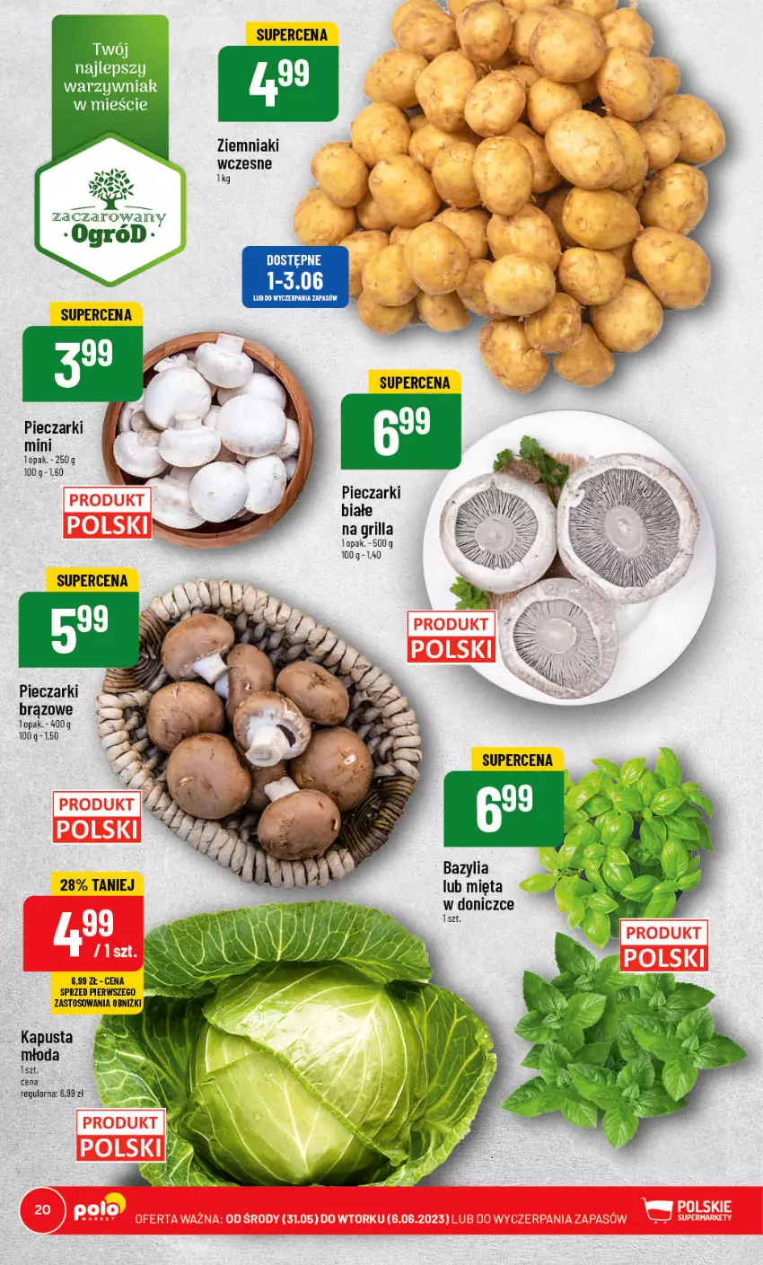 Gazetka promocyjna PoloMarket - Gazetka pomocyjna - ważna 31.05 do 06.06.2023 - strona 20 - produkty: Bazyl, Bazylia, Grill, Mięta, Ogród, Piec, Ziemniaki