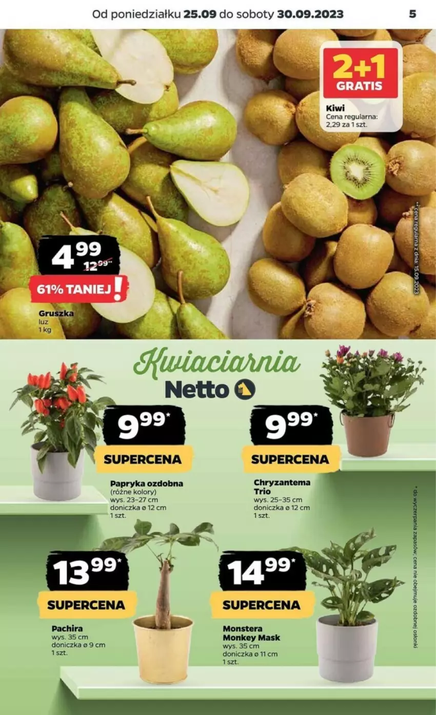 Gazetka promocyjna Netto - ważna 25.09 do 30.09.2023 - strona 21 - produkty: Chryzantema, Fa, Kiwi, Papryka, Tera