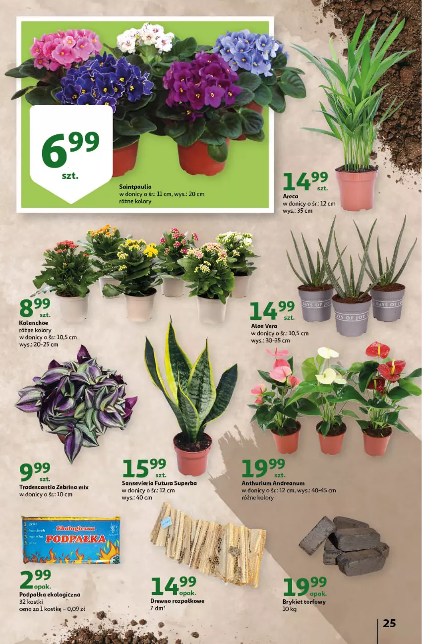 Gazetka promocyjna Auchan - Gazetka przeNISKIE CENY – PrzeWyborne produkty regionalne Hipermarkety - ważna 08.09 do 14.09.2022 - strona 25 - produkty: Aloe vera, Kalanchoe