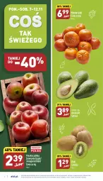 Gazetka promocyjna Aldi - Pełny katalog - Gazetka - ważna od 12.11 do 12.11.2022 - strona 2 - produkty: Mandarynki, Kiwi, Szampion, Ligol, Jabłka