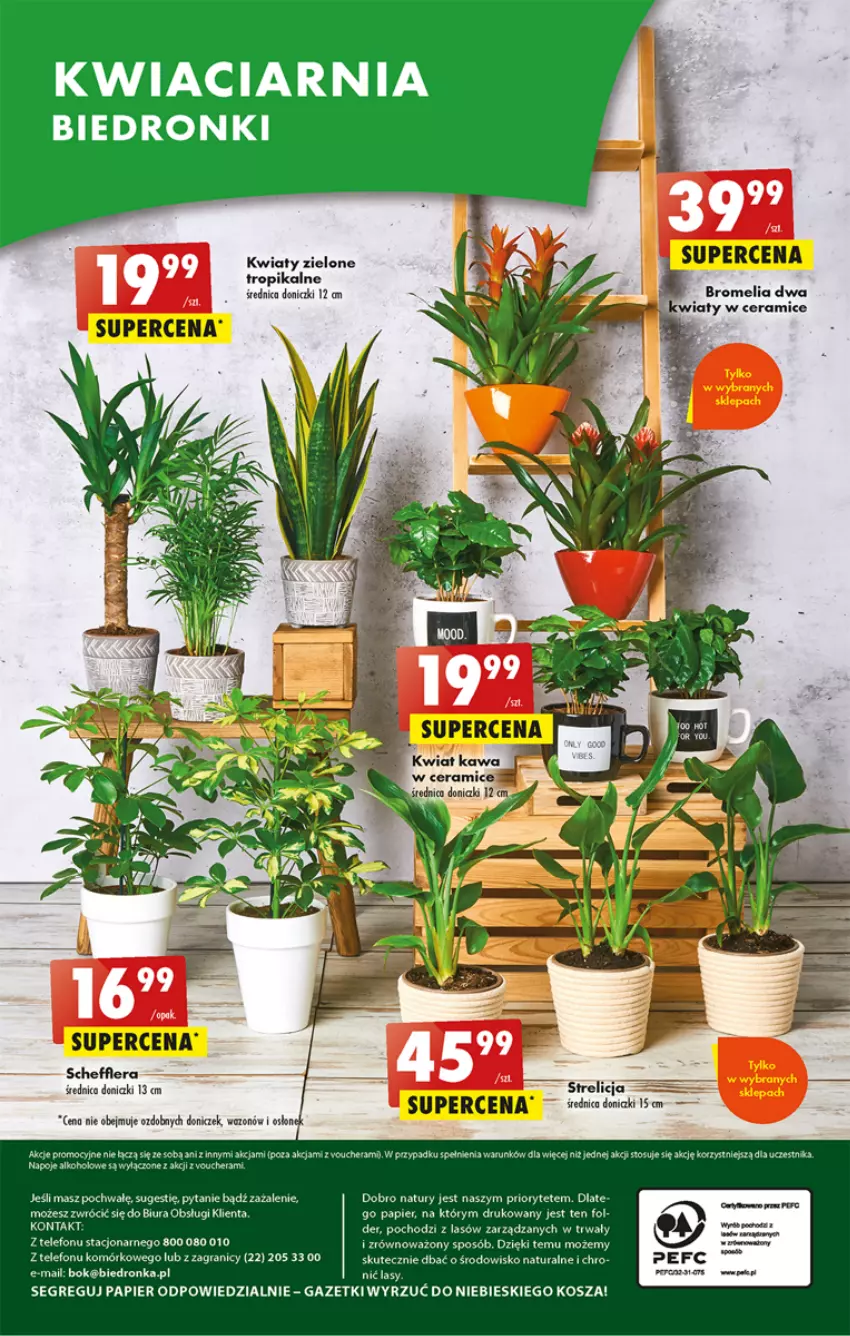 Gazetka promocyjna Biedronka - ważna 01.06 do 07.06.2023 - strona 56 - produkty: Bromelia, Gra, Kosz, Napoje, Papier, Rama, Telefon, Wazon