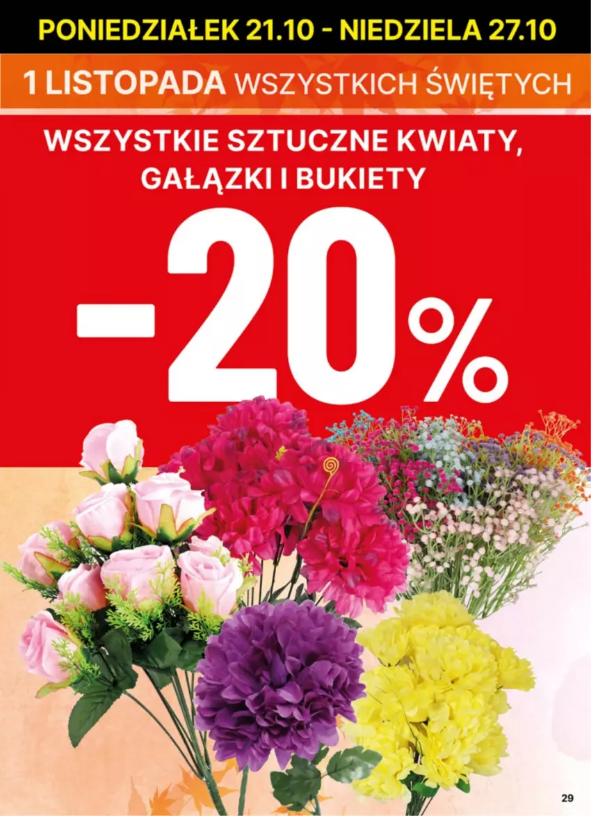 Gazetka promocyjna Delikatesy Centrum - NOWA GAZETKA Delikatesy Centrum od 21 października! 21-27.10.2024 - ważna 21.10 do 27.10.2024 - strona 29