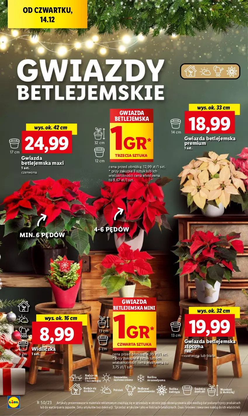 Gazetka promocyjna Lidl - GAZETKA - ważna 14.12 do 17.12.2023 - strona 64 - produkty: Cień, Gwiazda, O nas, Por, Sok