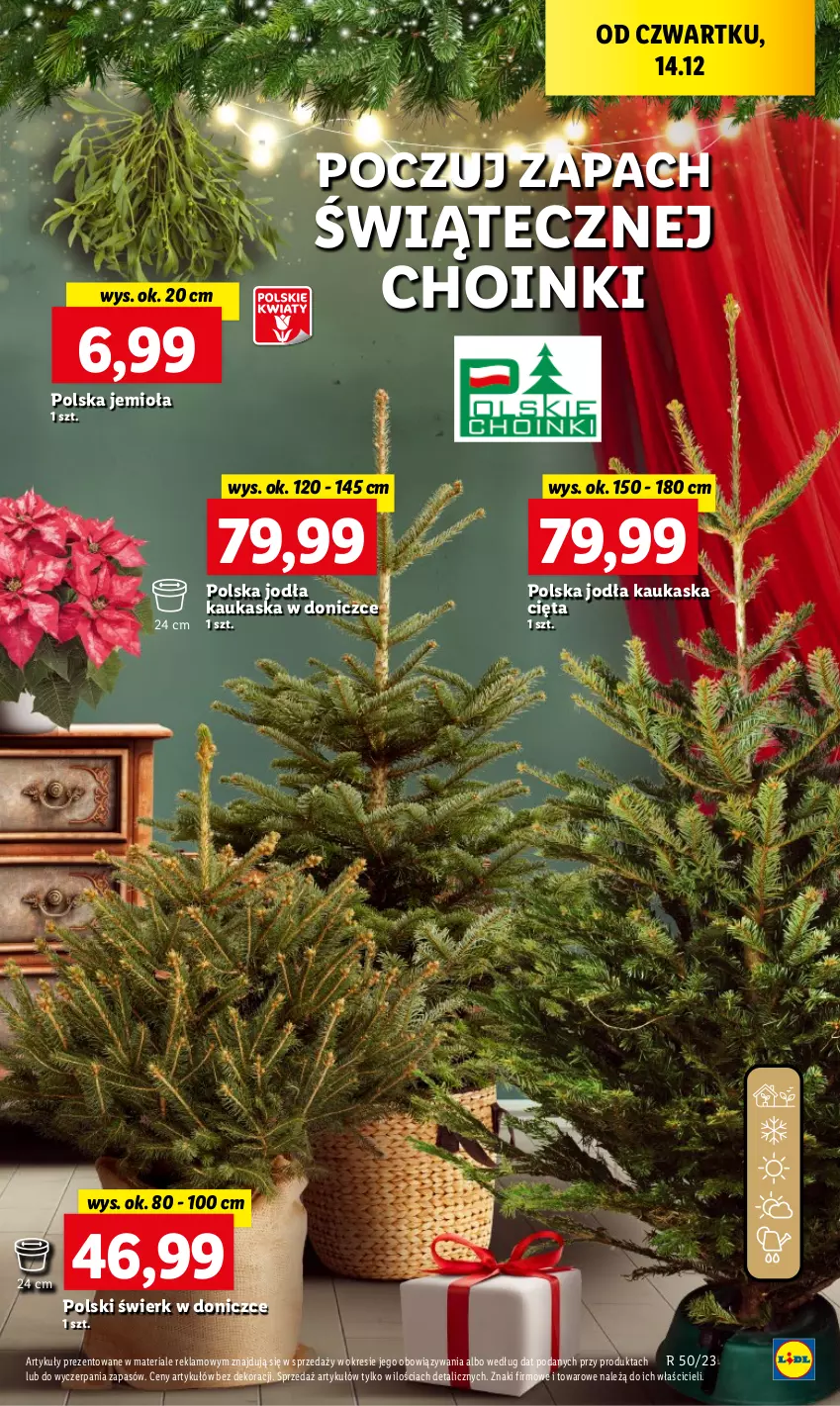 Gazetka promocyjna Lidl - GAZETKA - ważna 14.12 do 17.12.2023 - strona 65 - produkty: Kask