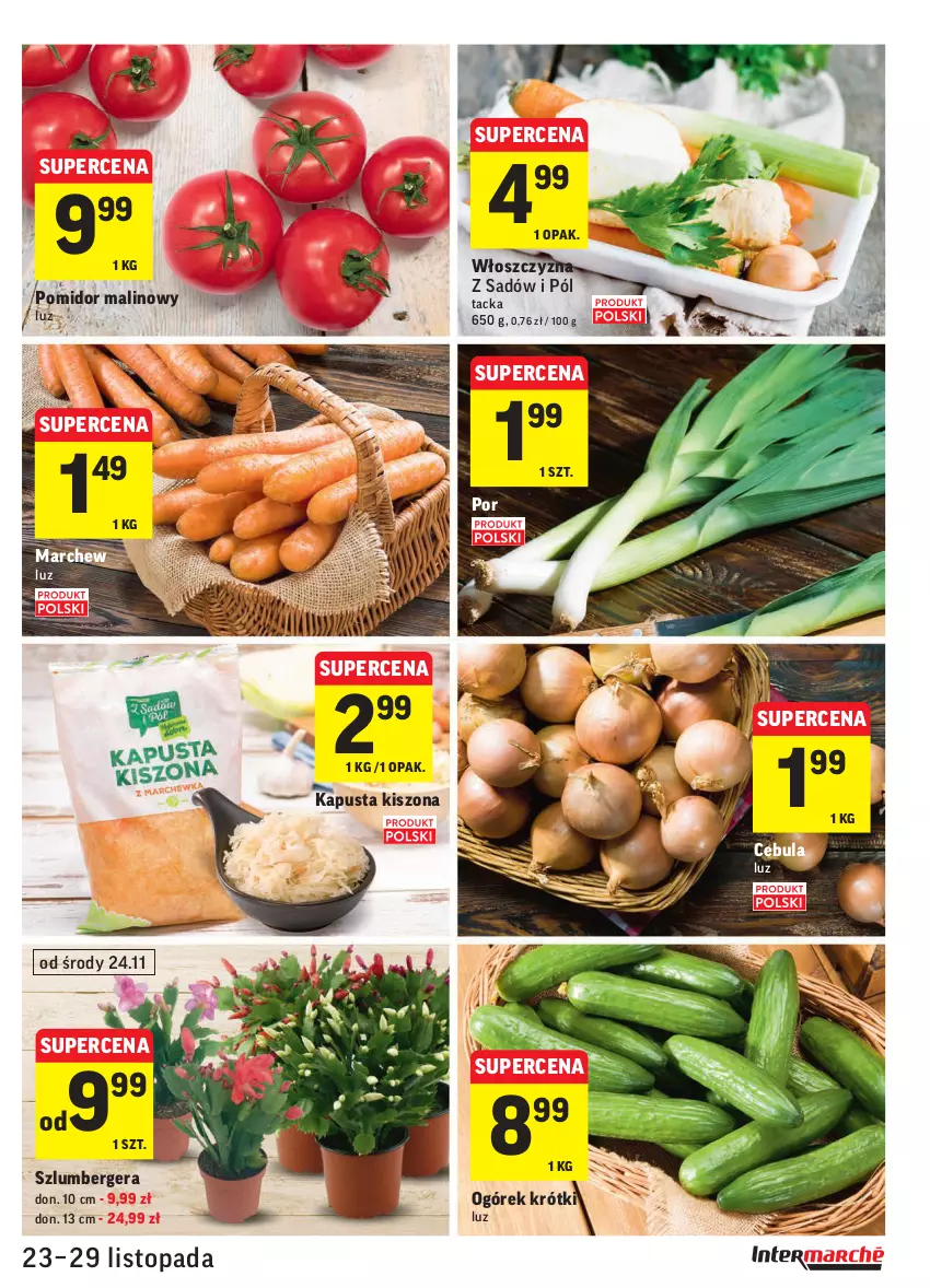 Gazetka promocyjna Intermarche - Gazetka promocyjna - ważna 23.11 do 29.11.2021 - strona 13 - produkty: Cebula, Ogórek, Pomidor malinowy, Por, Szlumbergera, Top