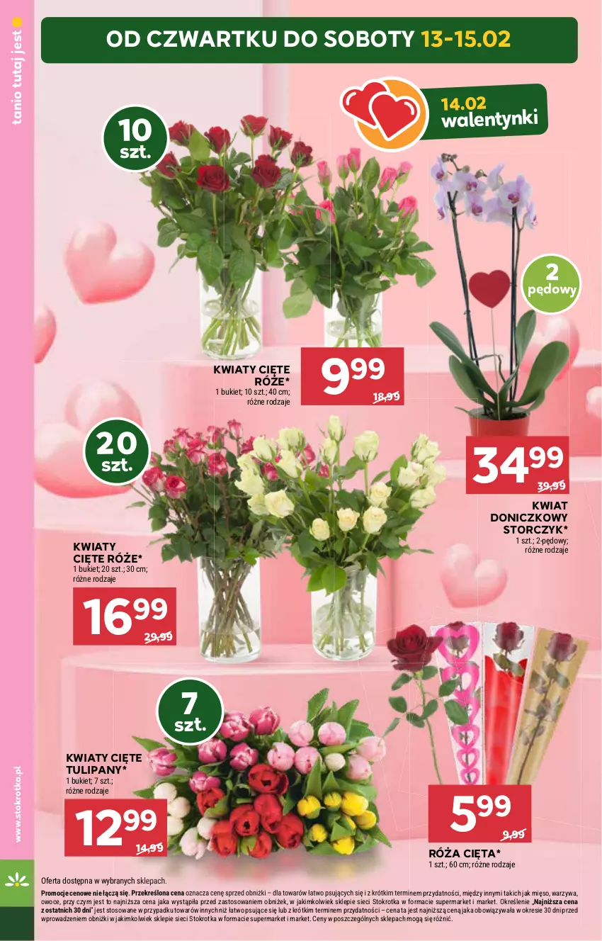 Gazetka promocyjna Stokrotka - Supermarket - ważna 13.02 do 19.02.2025 - strona 16 - produkty: Bukiet, Kwiaty cięte, Róża, Storczyk, Tulipan