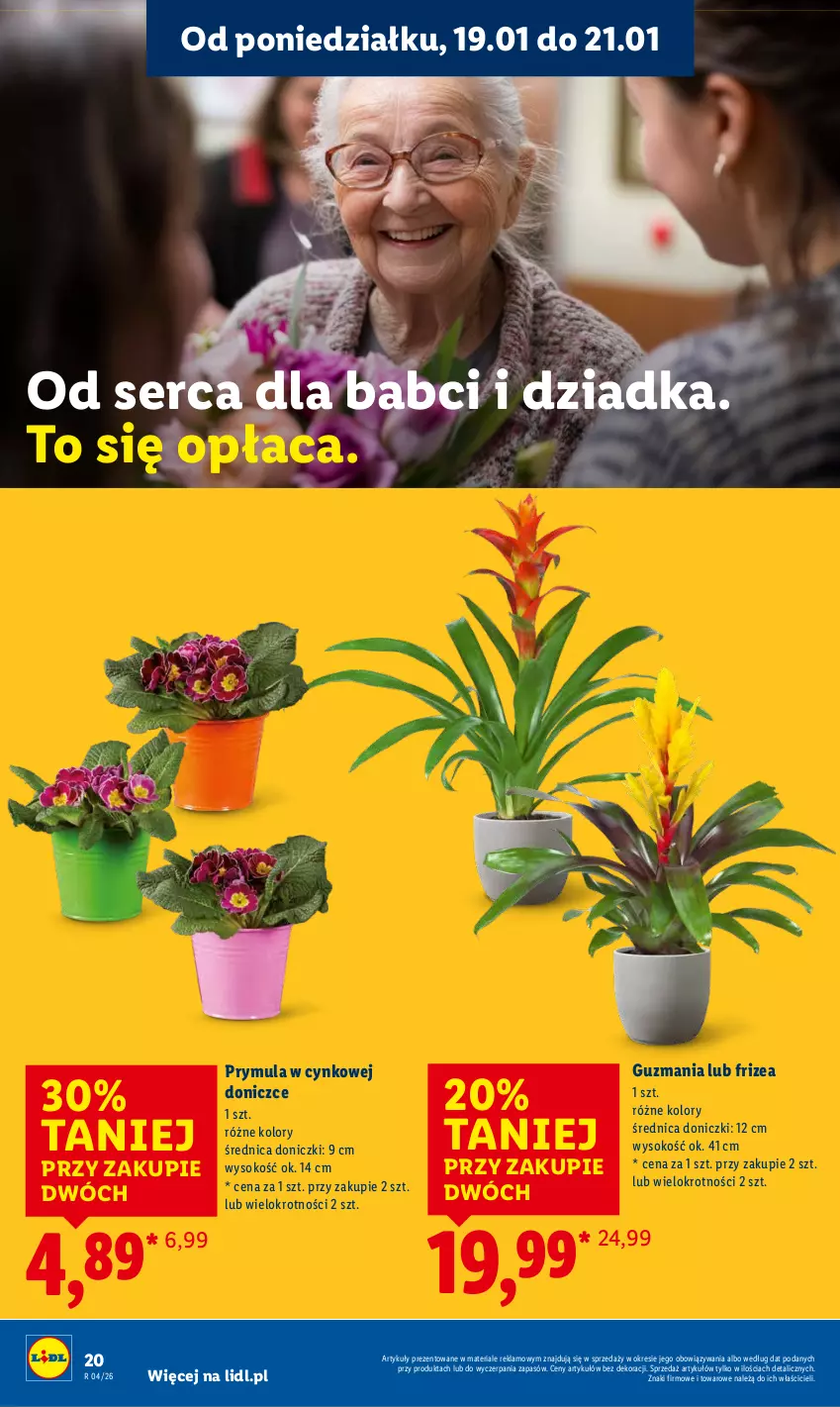 Gazetka promocyjna Lidl - GAZETKA - ważna 19.01 do 21.01.2026 - strona 20 - produkty: Cynk, Prymula, Ser, Sok