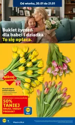 Gazetka promocyjna Lidl - GAZETKA - Gazetka - ważna od 21.01 do 21.01.2026 - strona 18 - produkty: Tulipan, Bukiet