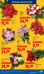 Gazetka promocyjna Lidl - GAZETKA - Gazetka - ważna od 21.01 do 21.01.2026 - strona 19 - produkty: Gerber, Bukiet