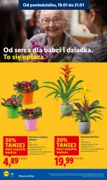 Gazetka promocyjna Lidl - GAZETKA - Gazetka - ważna od 21.01 do 21.01.2026 - strona 20 - produkty: Sok, Ser, Prymula, Cynk