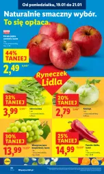 Gazetka promocyjna Lidl - GAZETKA - Gazetka - ważna od 21.01 do 21.01.2026 - strona 24 - produkty: Papryka słodka, Papryka, Winogrona, Seler naciowy, Wino, Jabłka