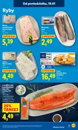 Gazetka promocyjna Lidl - GAZETKA - Gazetka - ważna od 21.01 do 21.01.2026 - strona 47 - produkty: Frosta, Miruna, Paluszki rybne, Tusz